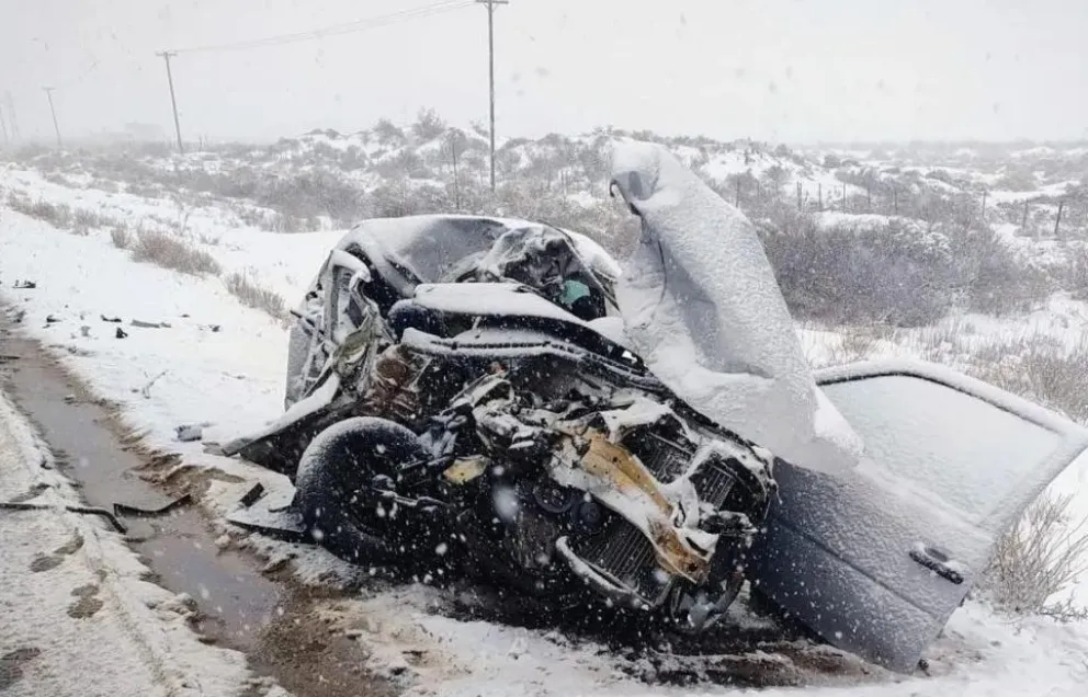 El camión también resultó con todo su frente destruido. (Foto gentileza)
