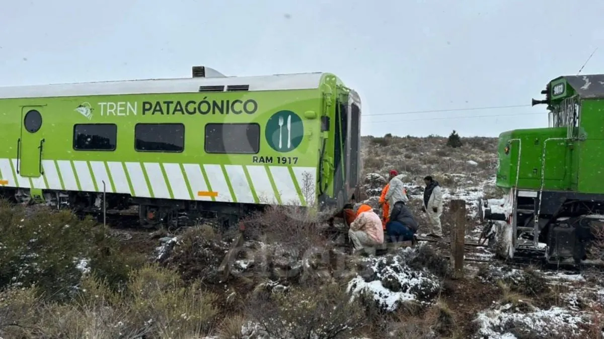 El Tren Patagónico no vuelve a Viedma desde Bariloche | NoticiasNet