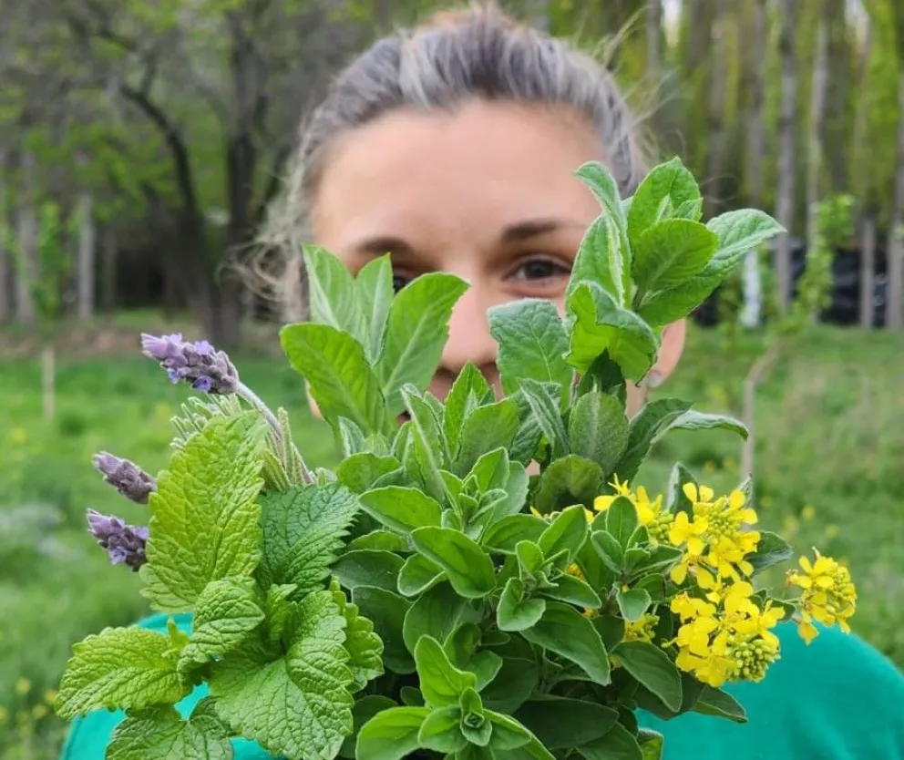 De todo como en botica.