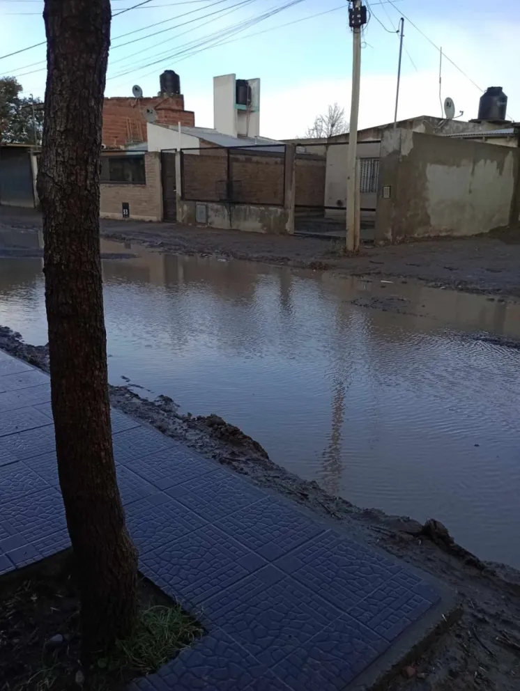 Desde Obras Públicas de Viedma proyectan una solución para las calles en las que se  junta agua en el Álvarez Guerrero 