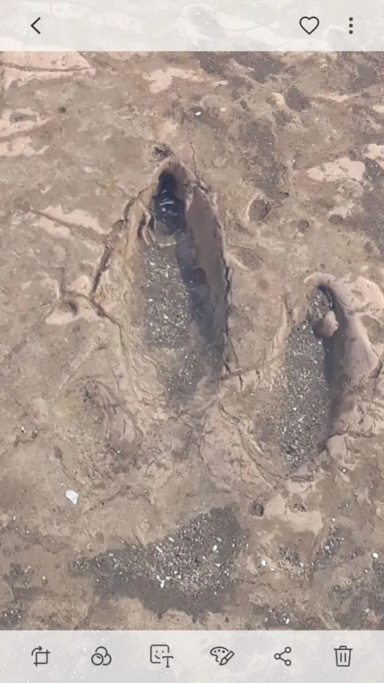 Pozos Salado empieza a sacar a la luz su riqueza prehistórica 