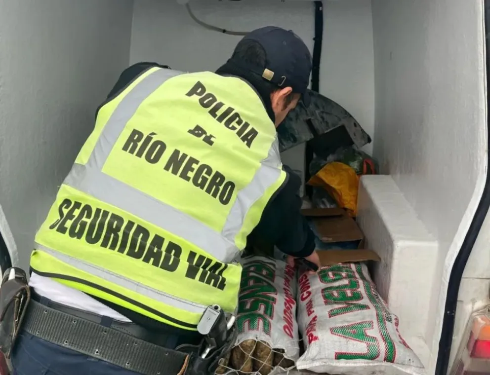 Carga de mariscos decomisada. 