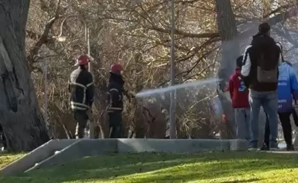 Bomberos apagan el incendio en un árbol en la costanera de Viedma.