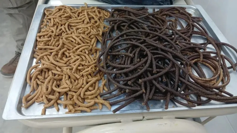Pura fibra: el orujo de manzana ya no se tira con su puesta en valor en la Planta de Alimentos Sociales de la UNRN.