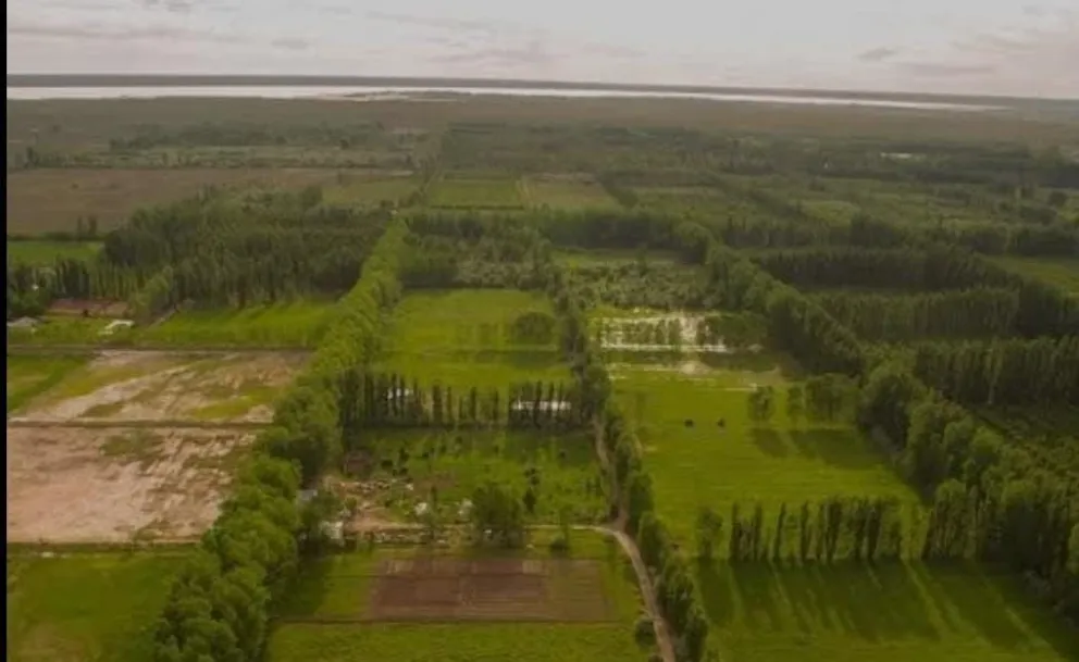 De prosperar, se extendería a todos los valles del río Negro.