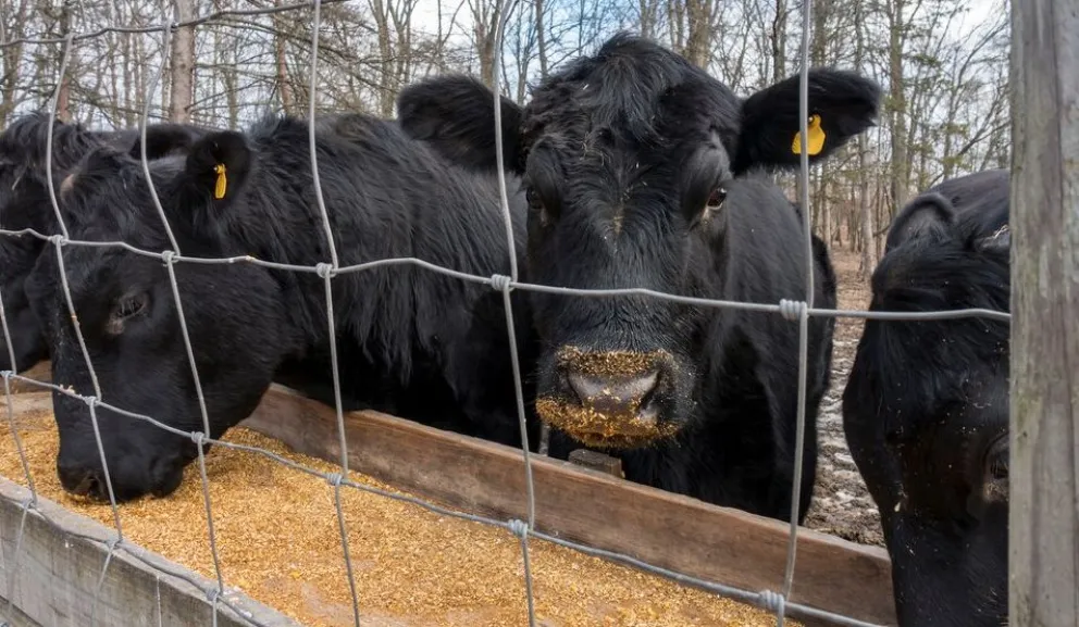 Valores registrados en los principales centros de comercialización.