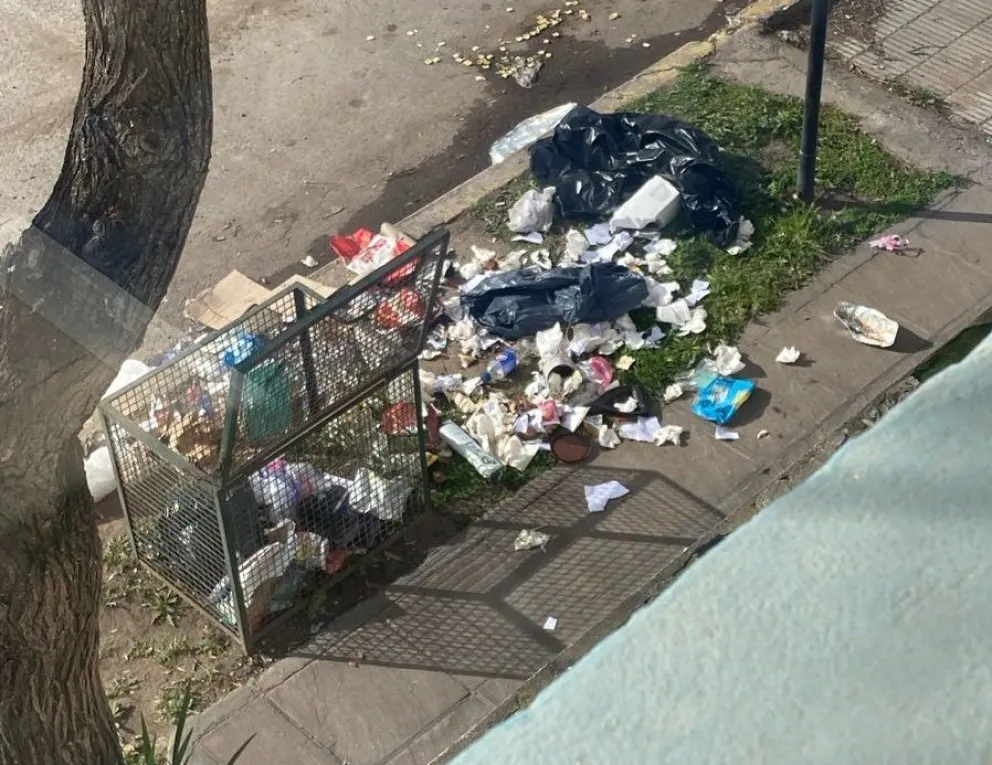 Los días que no hay recolección las bolsas rotas es una constante 