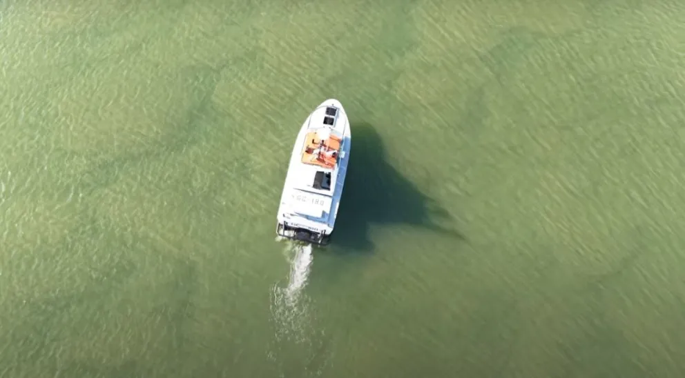 Búsqueda de Cristian Procoppo, desaparecido en Viedma y visto por última vez en el río. 