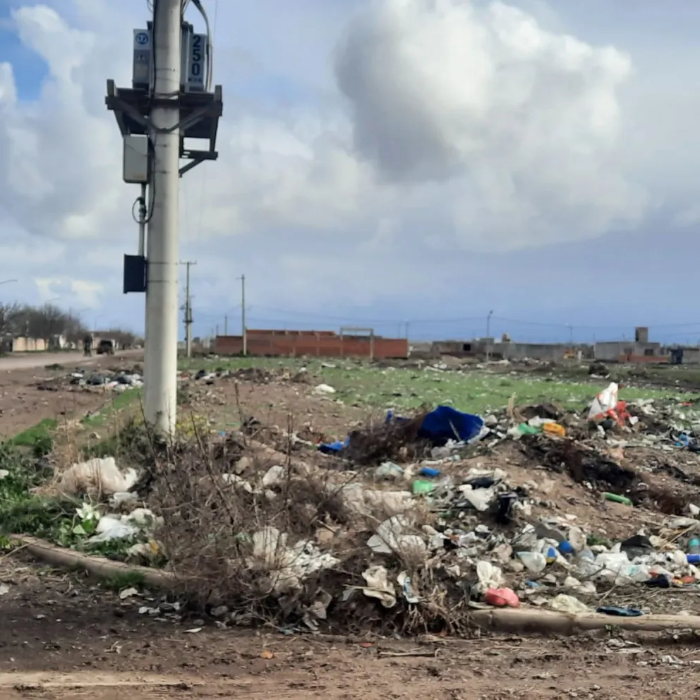 Así está al día de hoy el sector adjudicado a vecinos y vecinas de la capital rionegrina. 