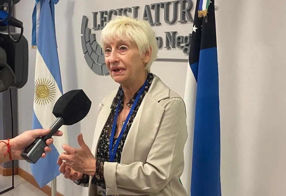 La directora de la Agencia de Abordaje Integral de Consumos Problemáticos, Norma Mora (Foto: NoticiasNet)