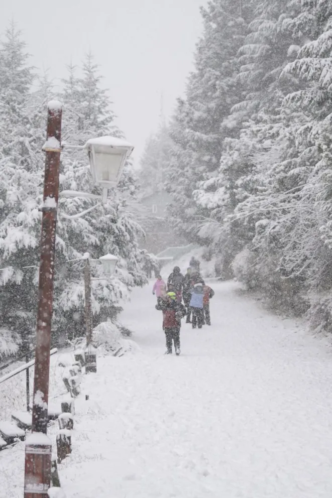 Llegó la nieve en pleno septiembre a Bariloche 