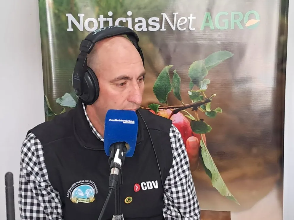 La Expo Rural en Patagones a pleno, con la coordinación de la entidad ganadera local y de Viedma. 
