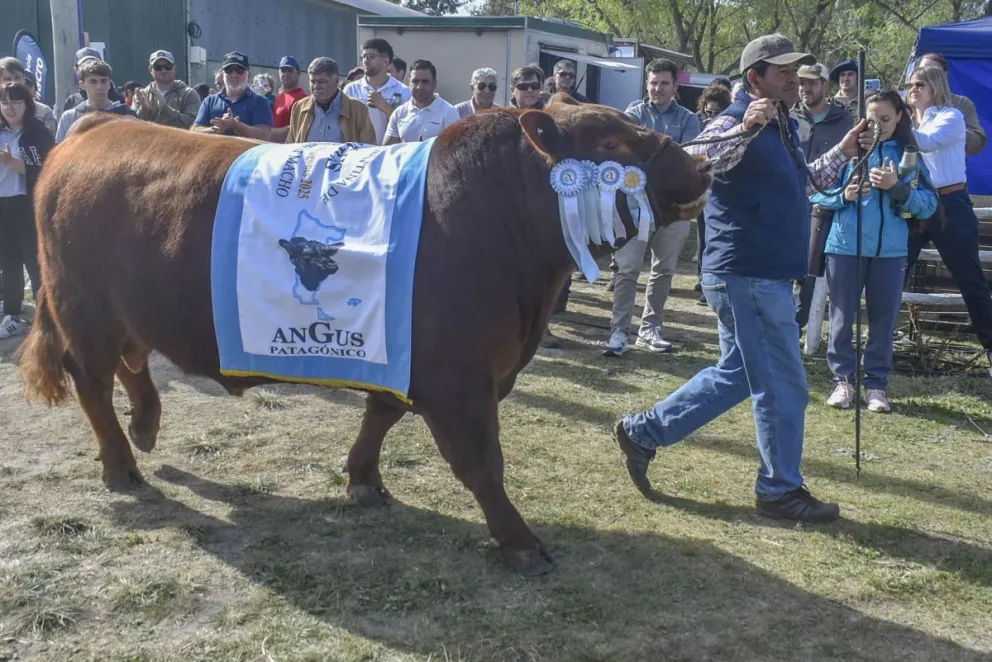 A pesar de la sequía y el impacto de la flexibilización de la barrera sanitaria.
