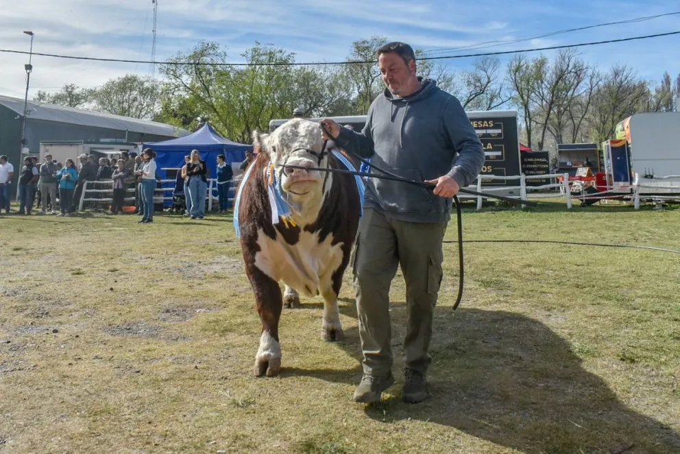 La Txapela se llevó las principales cucardas en Hereford. Fotos Vanesa Schwemmler para NoticiasNet.