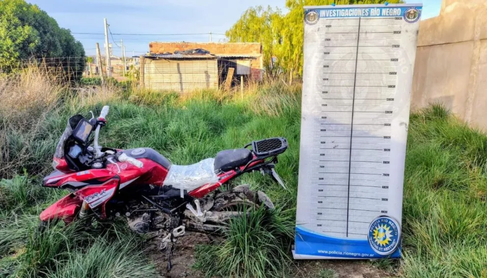 El rodado estaba minuciosamente escondido en un terreno baldío.