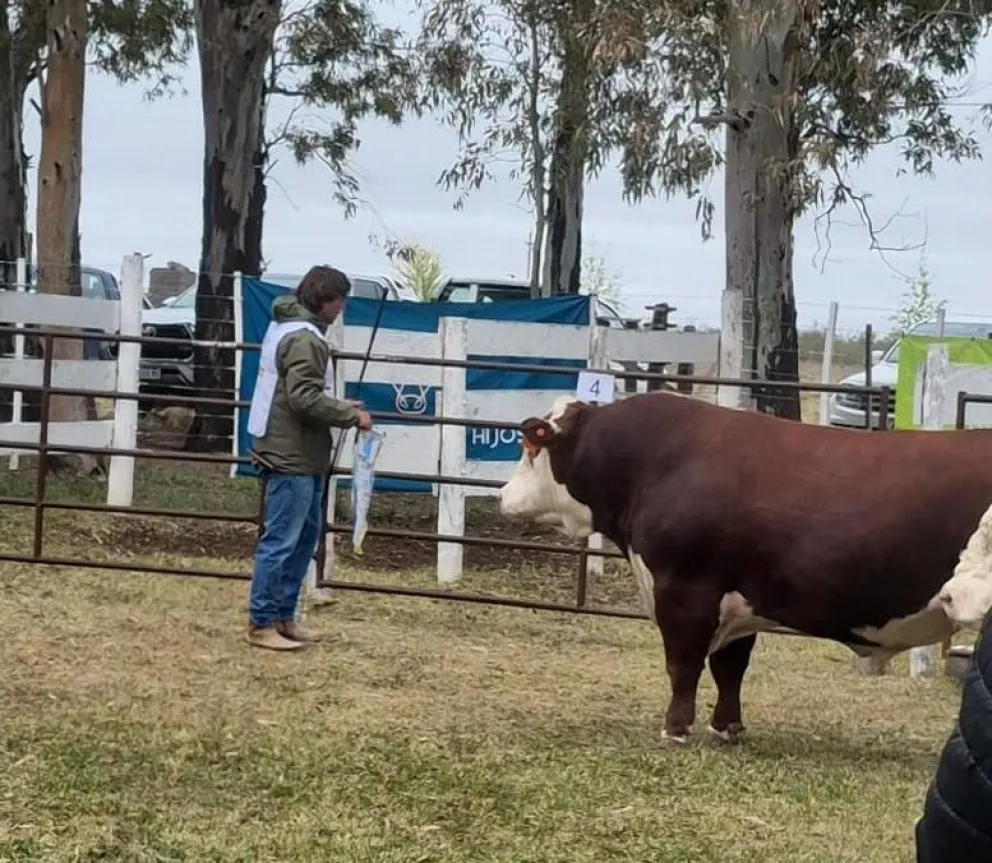 Juan Manuel Sosa, el nombre ganador que tiene la Comarca en la ganadería. 