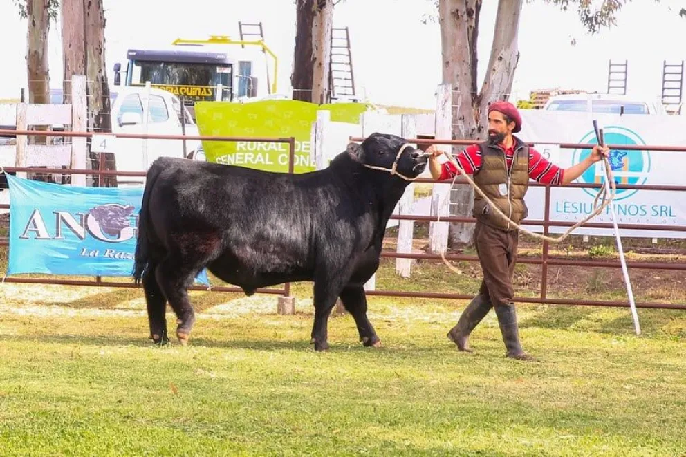 Conesa vive su fiesta de campo. 