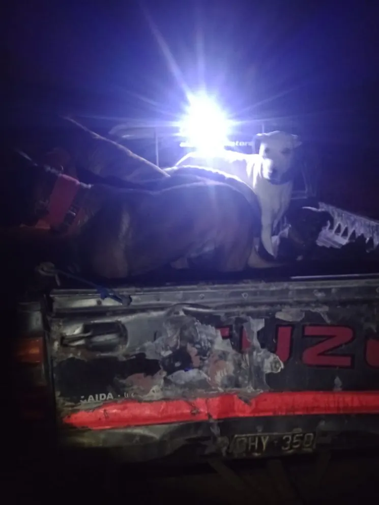 Operativos positivos por parte de la Brigada Rural de Conesa en la Ruta 53