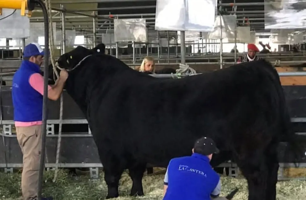 El impacto de las lluvias fue calificado como muy positivo por el sector.