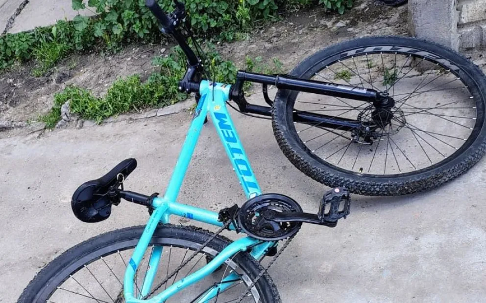 Bicicleta robada en Viedma. 