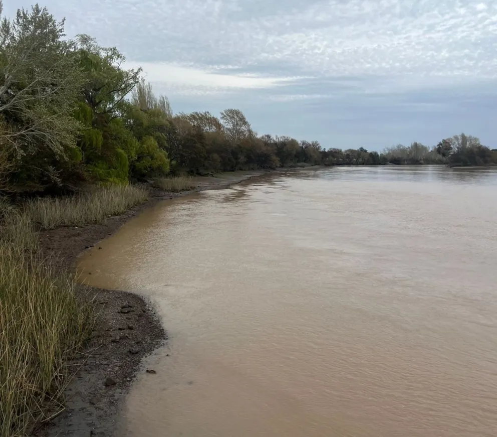 Así está la turbiedad del río Negro. Fotos Gentileza Aguas Rionegrinas. 