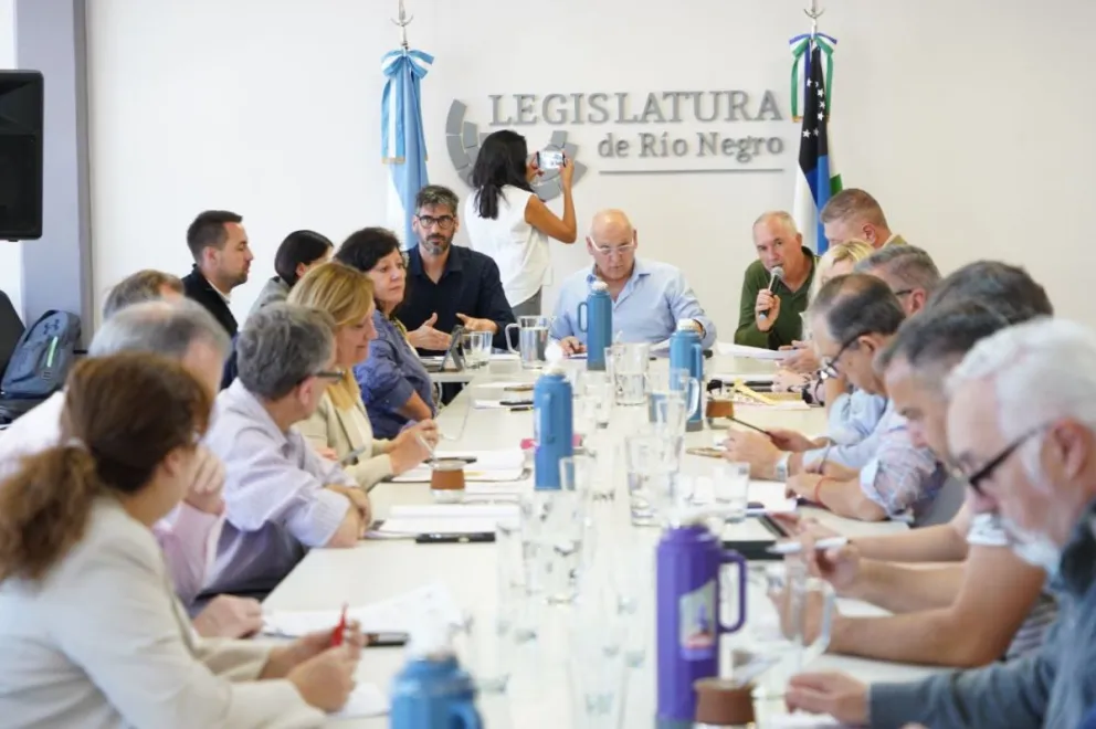 La sesión fue presidida por Luis Zgaib, legislador de Juntos Somos Río Negro.