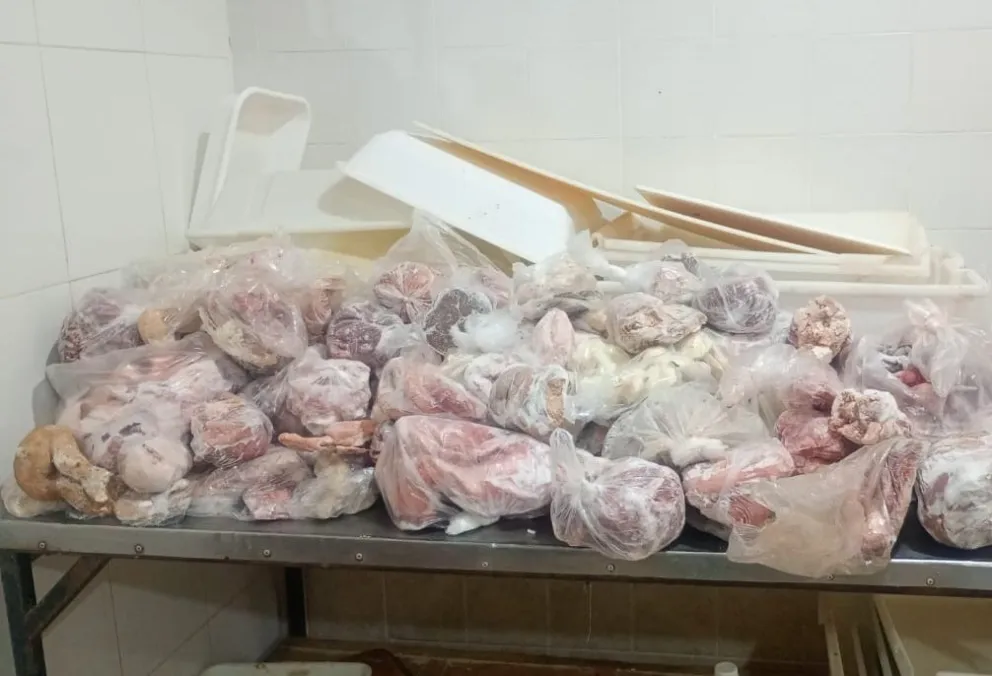 Parte del producto antes de su incineración. Foto gentileza.