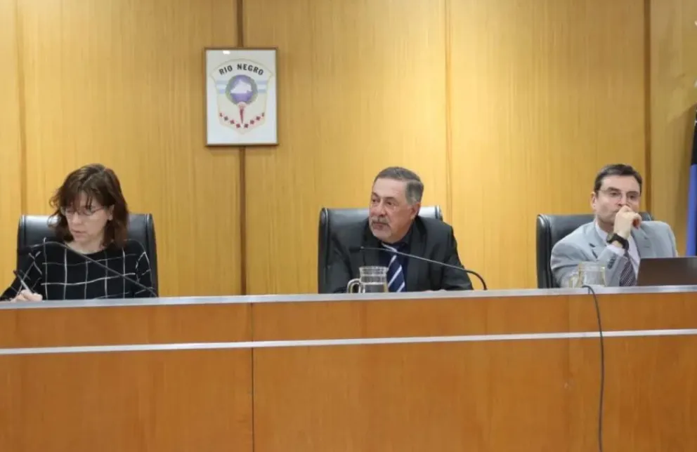 Los jueces que conformaron el tribunal: Natalia González, Alejandro Pellizon y Maximiliano Camarda. Foto: (Tania Domenicucci)