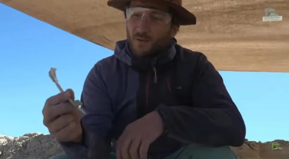 Federico Agnolín encontró una costilla del Bonapartenykus ultimus