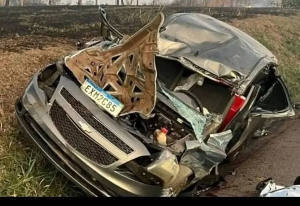 Volvia Volvía de su luna de miel cuando un árbol en llamas cayó sobre su auto ...