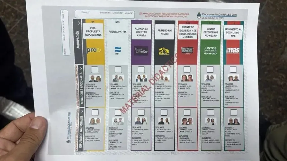 El Observatorio Electoral de la UNCo brindó tips para familiarizarse con la boleta única (Foto: archivo)