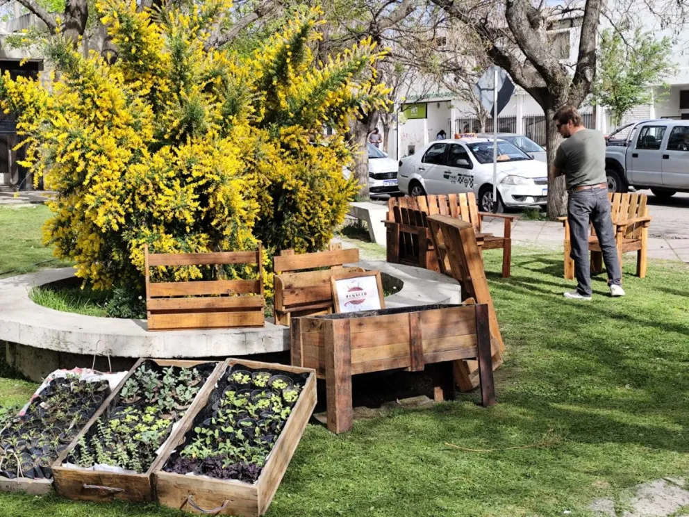 Las actividades de vivero estarán presentes. Foto archivo. Gentileza Ministerio de Salud.