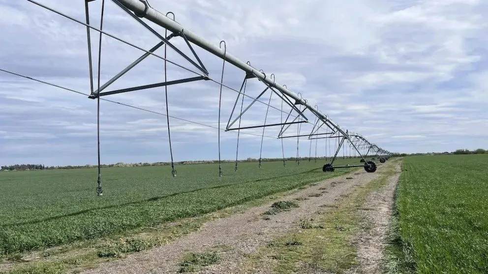 Negro Muerto se consolida uno de los proyectos más estratégicos para el crecimiento agrícola y ganadero de Río Negro.
