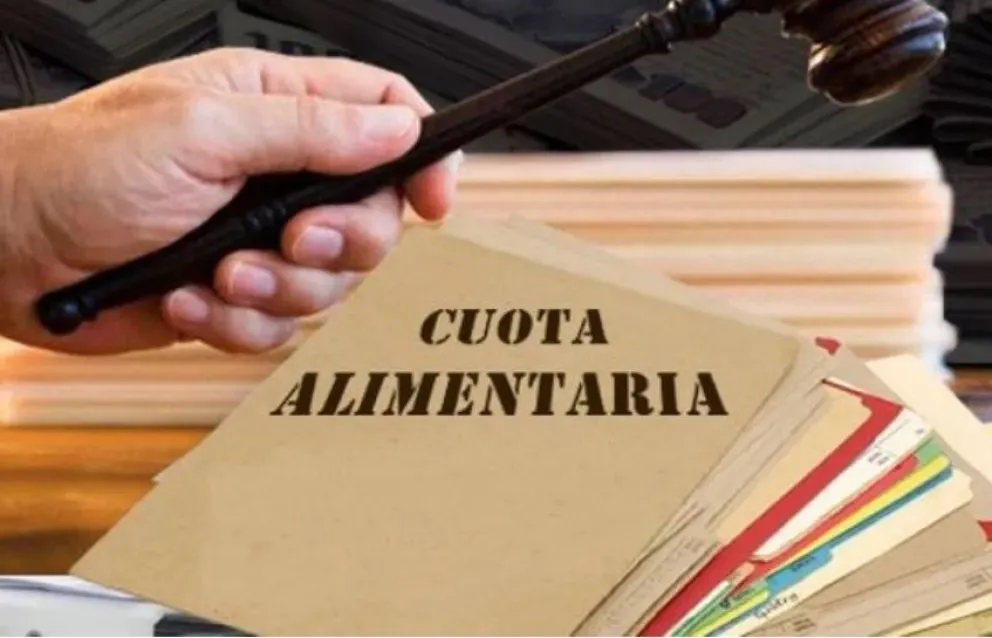 Deudores alimentarios y varios castigos peculiares. 