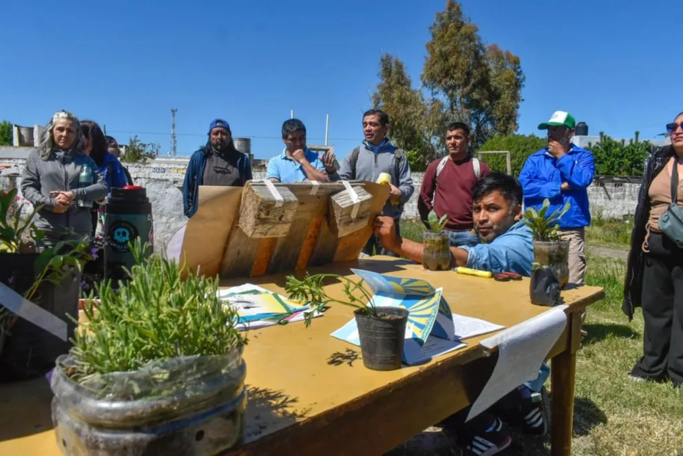 Huerta del barrio Fátima Fotos: Vanesa Schwemmler