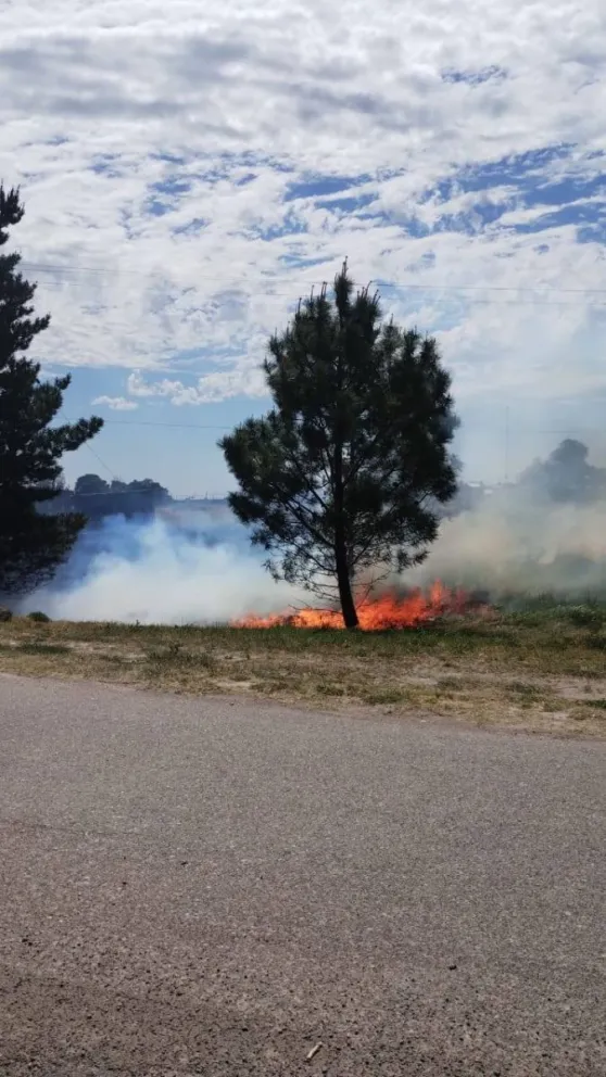 Ocurrió en la jornada del lunes. Fotos  e imágenes gentileza: Radio El Cóndor. 