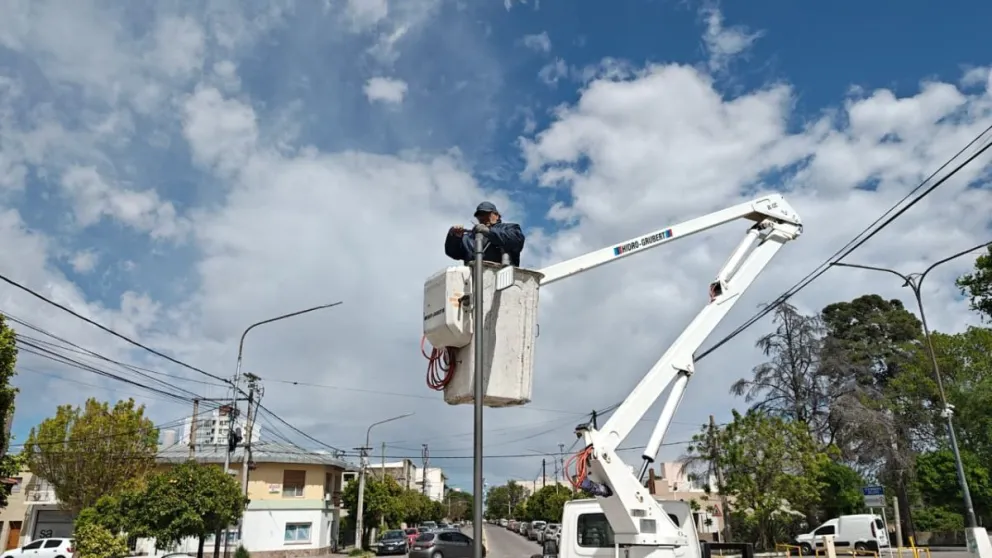 La Municipalidad de Viedma hizo recambio en la totalidad de la 25 de Mayo (Fotos: NoticiasNet)