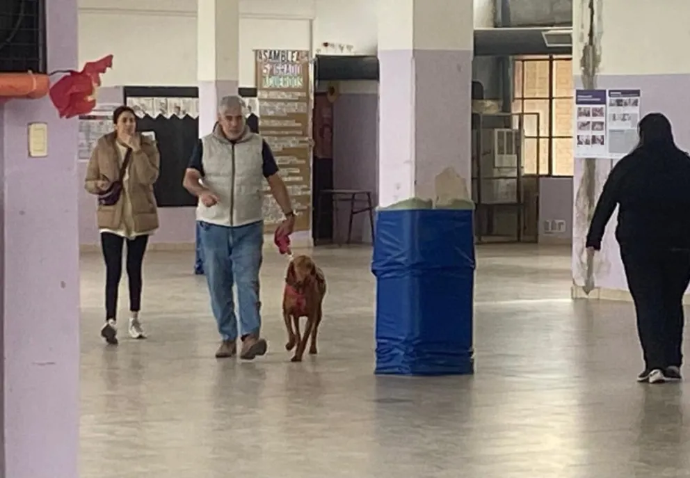 Un fiel amigo apareció en la escuela 30. Foto NoticiasNet.