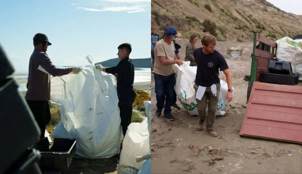 En jornadas de entre 12 y 16 horas limpian las playas. Fotos: Ecopet