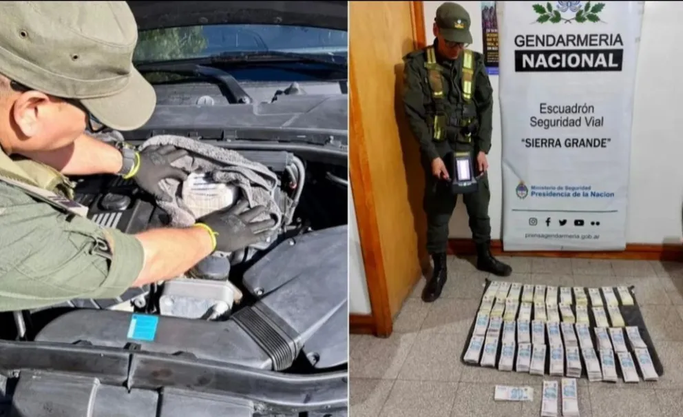 La marihuana de Viedma tampoco pasó. Foto gentileza.