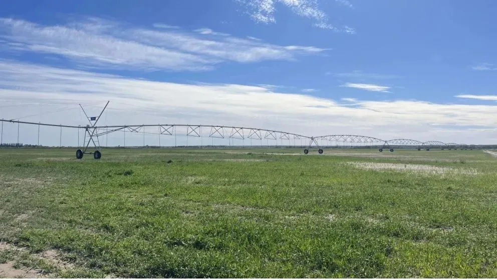 La llegada de esta comunidad genera un impacto positivo en la provincia. Crédito: Gobierno de Río Negro.
