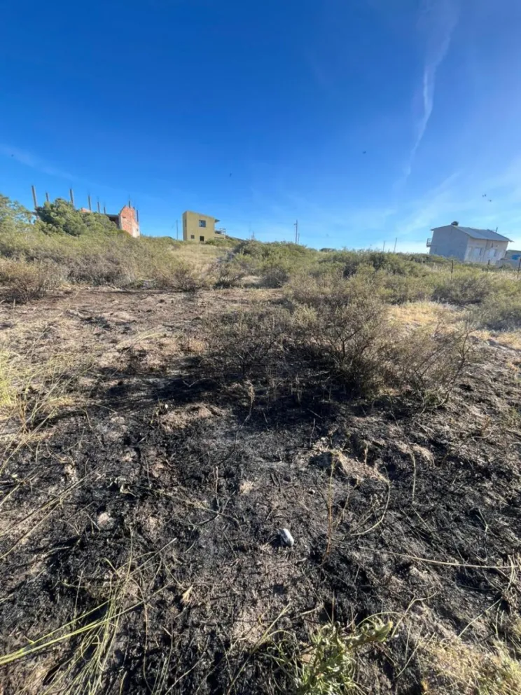 Zona afectada. Fotos: gentileza