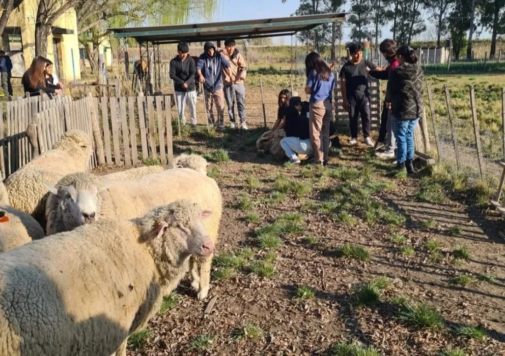 La escuela, desde el corazón de El Juncal, a toda la comunidad.