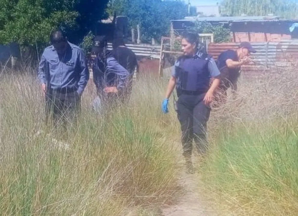 El operativo estuvo a cargo de la Comisaría 30 (Foto: gentileza)