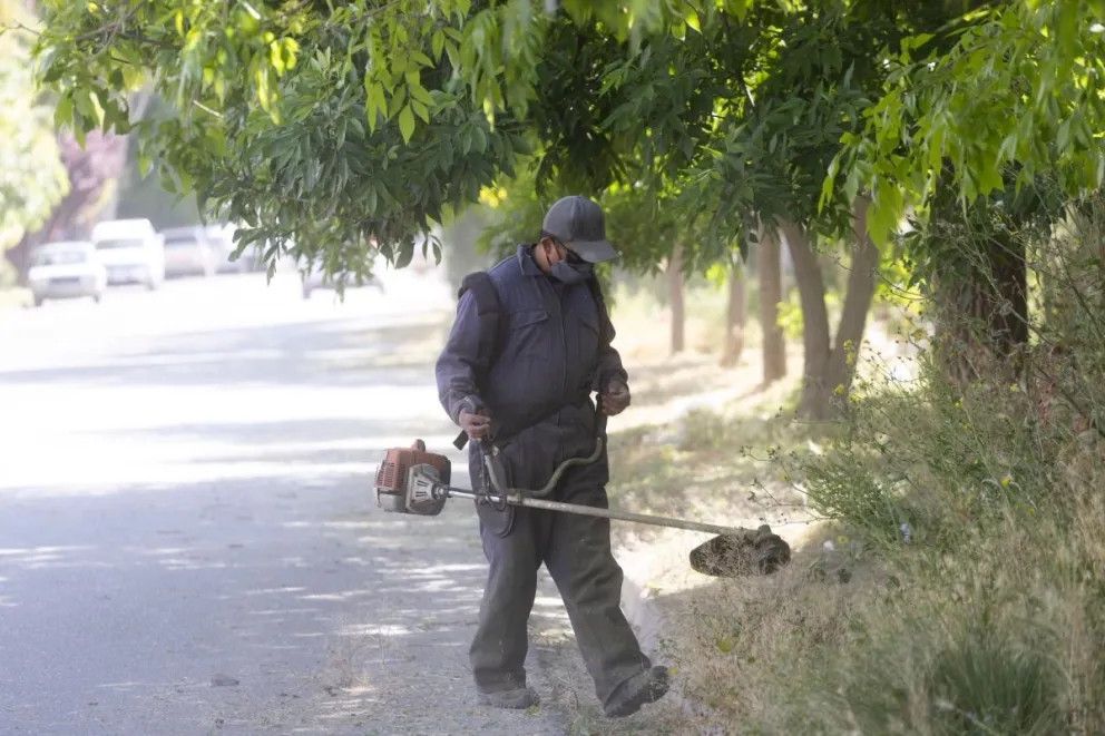 Subrayaron que la limpieza solo funciona si el vecino se compromete.