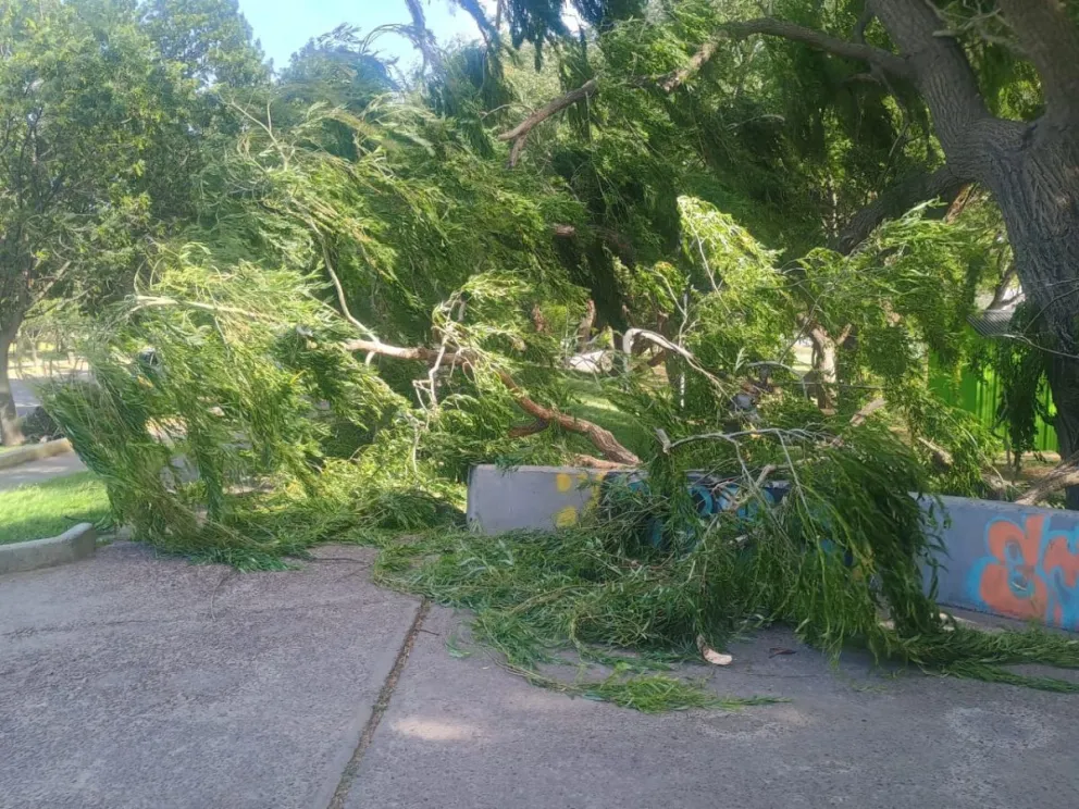 Habrá que estar atentos al viento y lluvias.