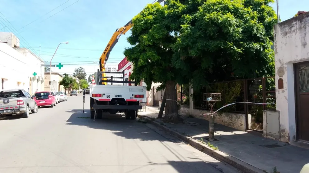 Personal trabajando en una calle de Carmen de Patagones.
