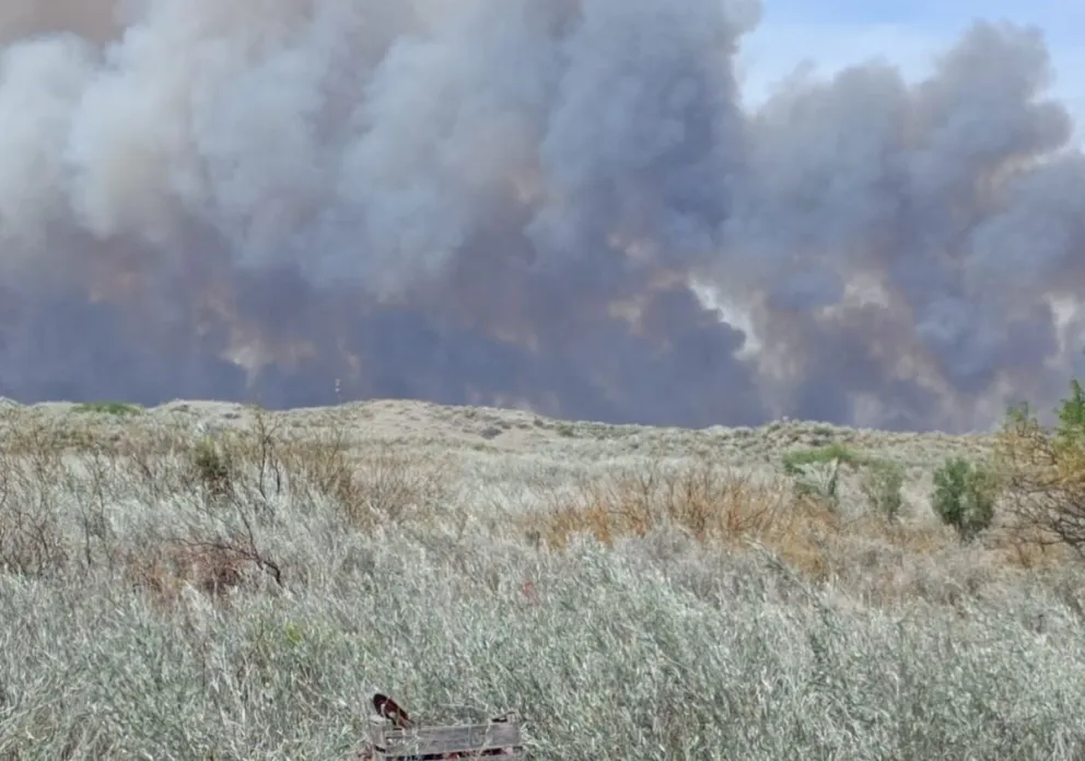 Las llamas fueron controladas por el Splif y un gran equipo de trabajo que colaboró. 