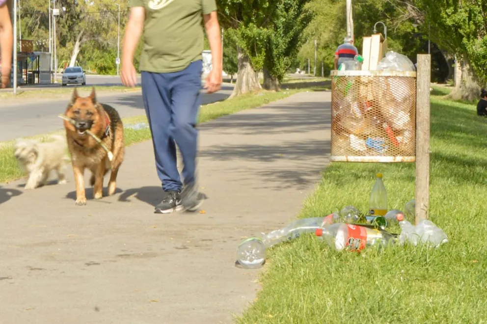 Los cestos de basura rebalsados de botellas (Fotos: NoticiasNet)