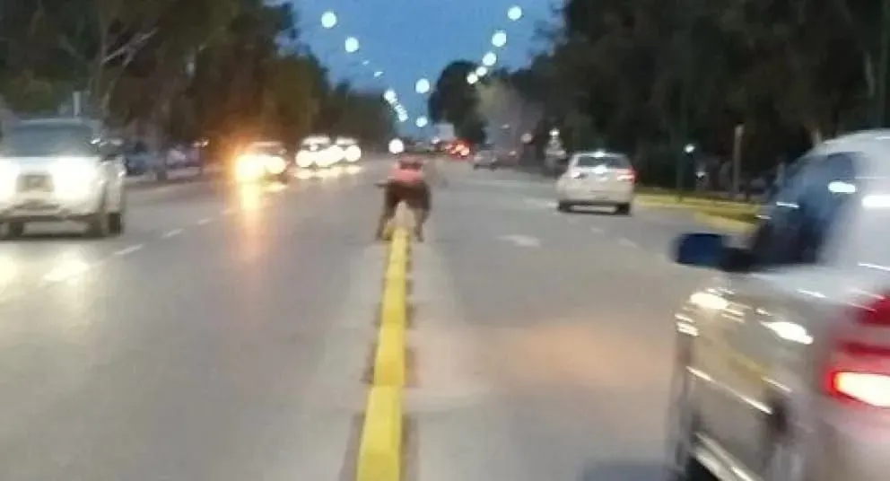 El cordón intermitente que separa la avenida Perón (Foto: gentileza)